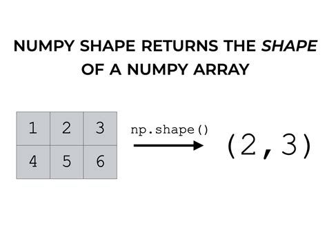 shapearray|shape of array numpy.